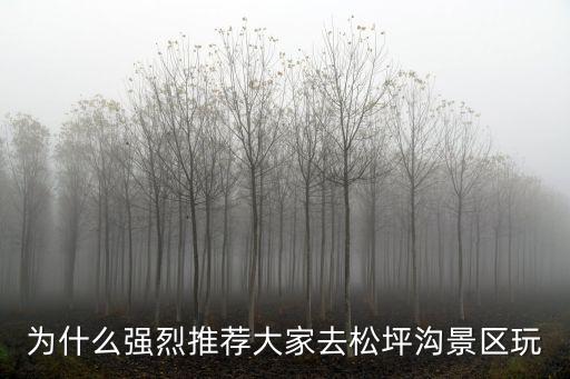為什么強烈推薦大家去松坪溝景區(qū)玩