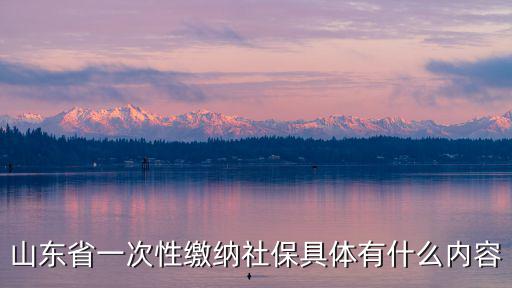 山東社保，山東省一次性繳納社保具體有什么內容