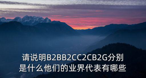 請(qǐng)說明B2BB2CC2CB2G分別是什么他們的業(yè)界代表有哪些
