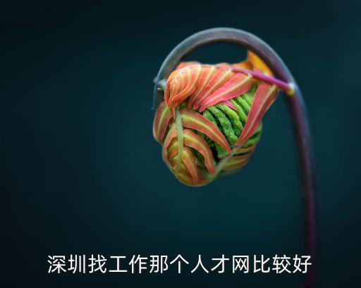 深圳找工作那個人才網比較好