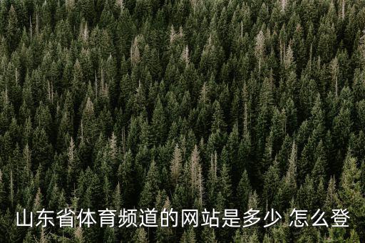 山東體育在線直播，山東省體育頻道的網站是多少 怎么登