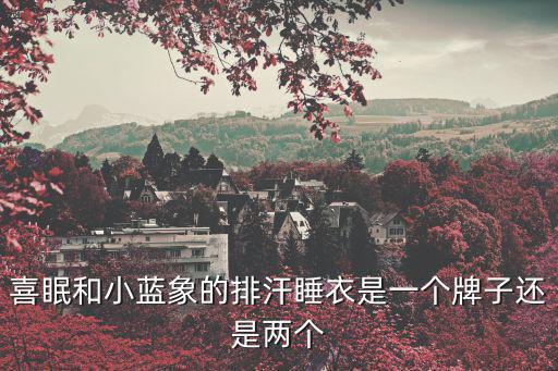 喜眠和小藍象的排汗睡衣是一個牌子還是兩個