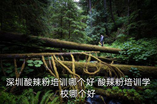 深圳酸辣粉培訓哪個好 酸辣粉培訓學校哪個好