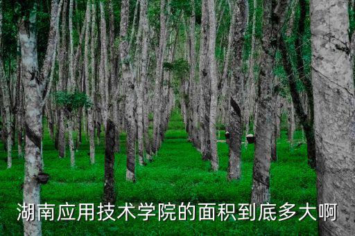 湖南應(yīng)用技術(shù)學(xué)院的面積到底多大啊