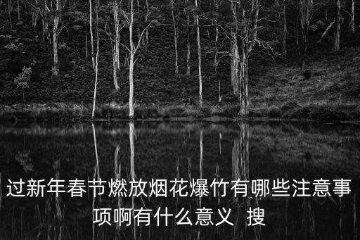 過新年春節燃放煙花爆竹有哪些注意事項啊有什么意義  搜