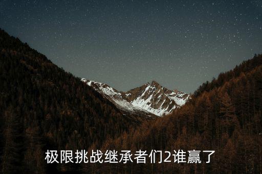 極限挑戰繼承者們2誰贏了