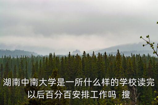 湖南中南大學(xué)，湖南的中南大學(xué)怎么樣