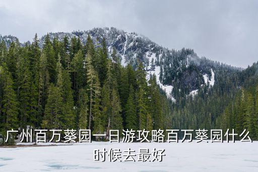 廣州百萬葵園，廣州百萬葵園在哪里
