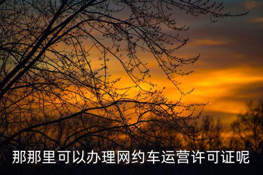 那那里可以辦理網(wǎng)約車(chē)運(yùn)營(yíng)許可證呢