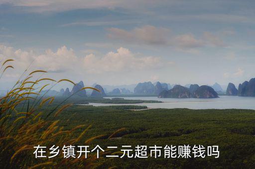 在鄉鎮開個二元超市能賺錢嗎
