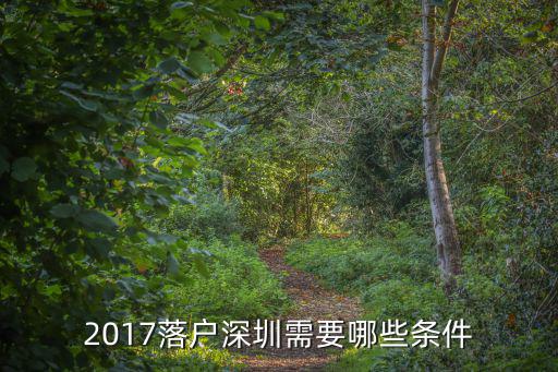 2017落戶深圳需要哪些條件