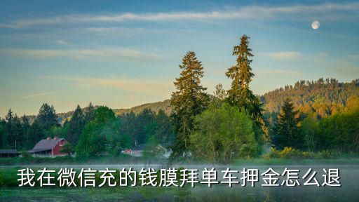 我在微信充的錢膜拜單車押金怎么退
