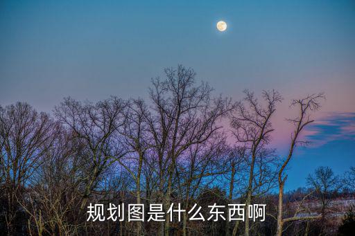 規劃圖是什么東西啊