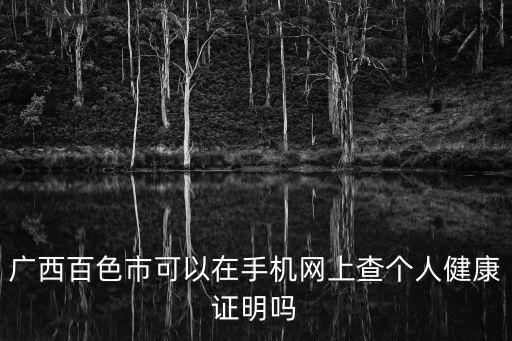 廣西百色市可以在手機(jī)網(wǎng)上查個(gè)人健康證明嗎