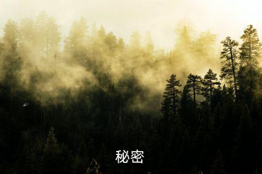 秘密