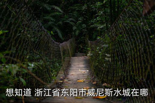 想知道 浙江省東陽市威尼斯水城在哪