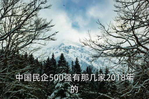 民企500強，中國民營企業500強如何評定啊