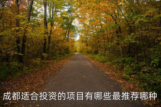 成都適合投資的項目有哪些最推薦哪種