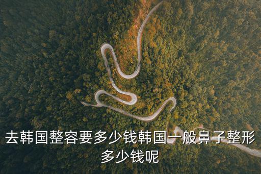 去韓國整容要多少錢韓國一般鼻子整形多少錢呢