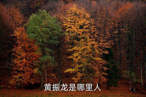 黃振龍是哪里人