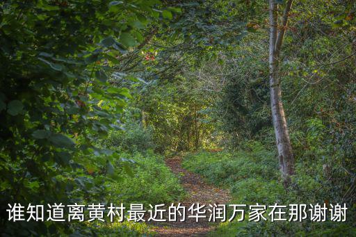 誰知道離黃村最近的華潤萬家在那謝謝