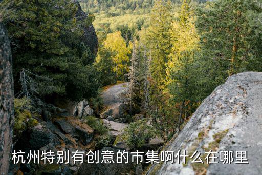 杭州特別有創意的市集啊什么在哪里
