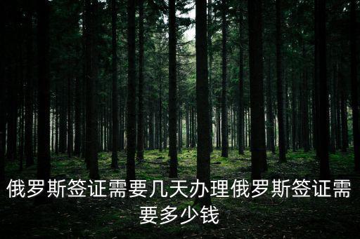 俄羅斯簽證需要幾天辦理俄羅斯簽證需要多少錢