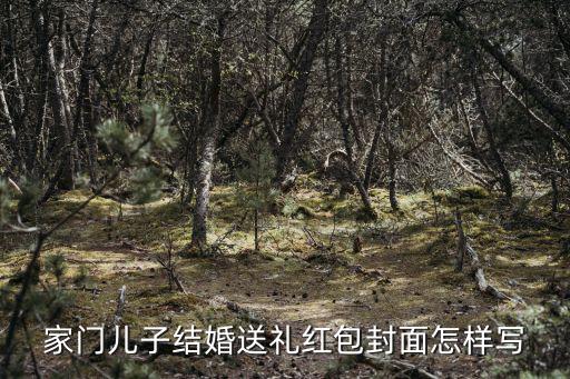 家門兒子結婚送禮紅包封面怎樣寫