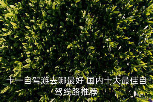 十一自駕游去哪最好 國(guó)內(nèi)十大最佳自駕線路推薦