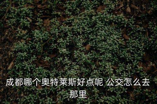 成都哪個奧特萊斯好點呢 公交怎么去那里