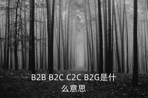 B2G，電子商務的b2g是什么意思