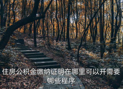住房公積金繳納證明在哪里可以開需要哪些程序