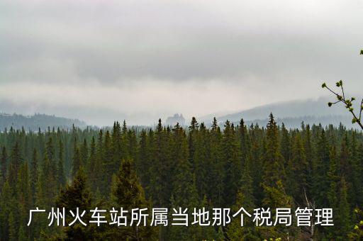 廣州火車站所屬當?shù)啬莻€稅局管理