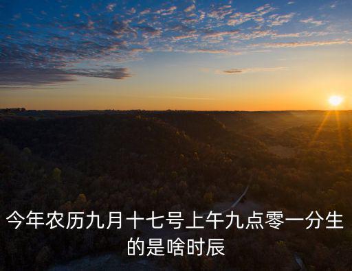 今年農歷九月十七號上午九點零一分生的是啥時辰