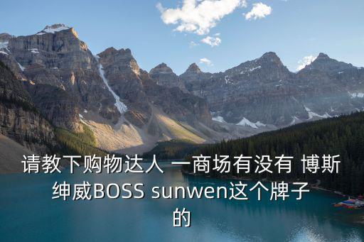 請教下購物達人 一商場有沒有 博斯紳威BOSS sunwen這個牌子的