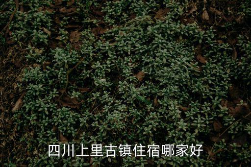 上里古鎮(zhèn)住宿，上里古鎮(zhèn)最好的住宿在哪里