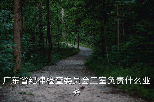 廣東省紀律檢查委員會三室負責什么業務