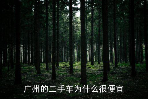 廣州二手車，廣州二手車過戶手續(xù)怎么樣麻煩嗎