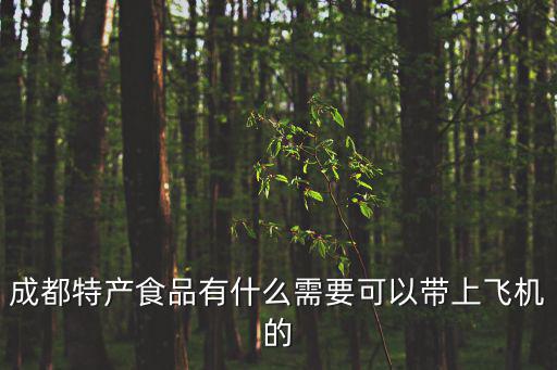 成都特產食品有什么需要可以帶上飛機的