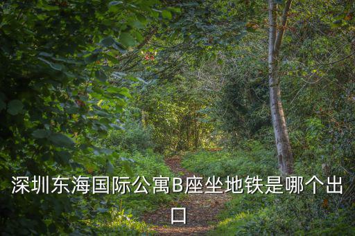 深圳東海國際公寓B座坐地鐵是哪個出口