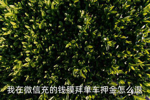 摩拜退押金，我在微信充的錢膜拜單車押金怎么退