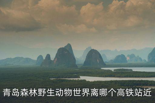 青島森林野生動物世界離哪個高鐵站近