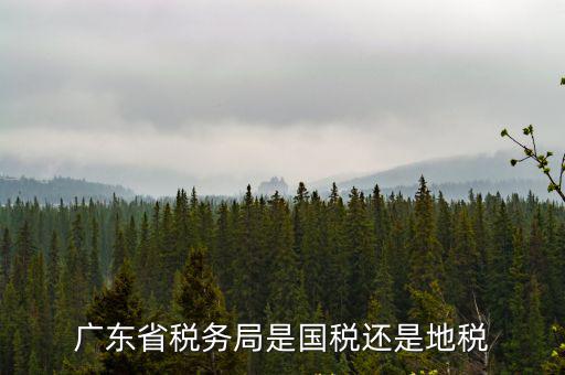 廣東省稅務局是國稅還是地稅