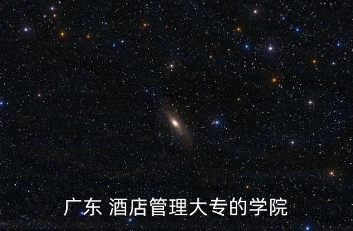 廣東酒店管理職業技術學院，廣東 酒店管理大專的學院