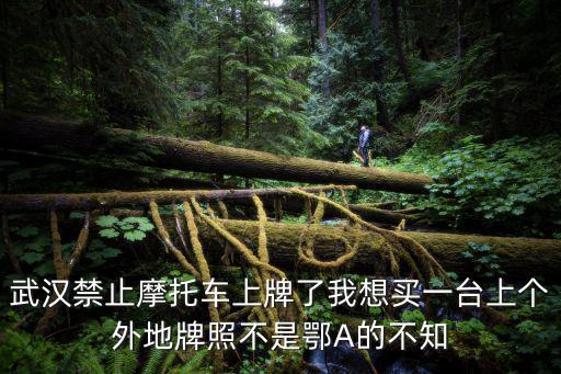 武漢禁止摩托車上牌了我想買一臺上個外地牌照不是鄂A的不知