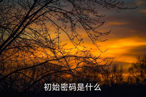 初始密碼是什么