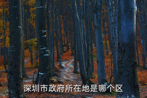 深圳市政府所在地是哪個(gè)區(qū)
