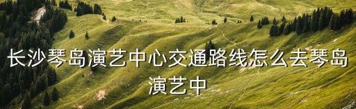 長沙琴島演藝中心交通路線怎么去琴島演藝中