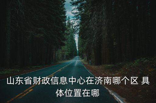 山東省財政信息中心在濟南哪個區 具體位置在哪