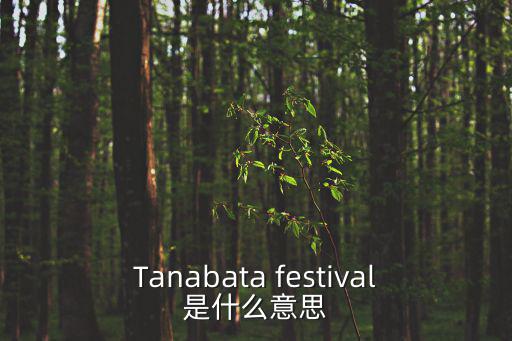 仙臺七夕，日本的夏祭是什么時候